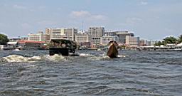 Chaopraya River Bangkok_3641.JPG